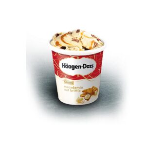 Häagen-Dazs Pot 100ml